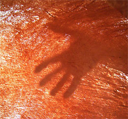 barkcloth image