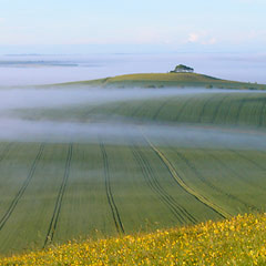 pewsey_vale.jpg